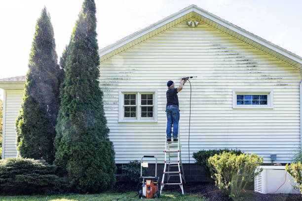 Best Soft Washing for Delicate Surfaces in Kilmarnock, VA